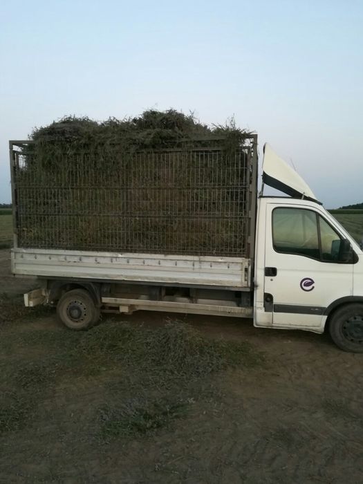 Транспортни услуги, Хамалски услуги, Къртене и Извозване