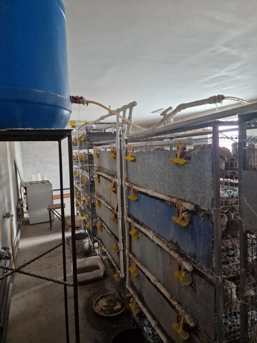 Клетка для перепел