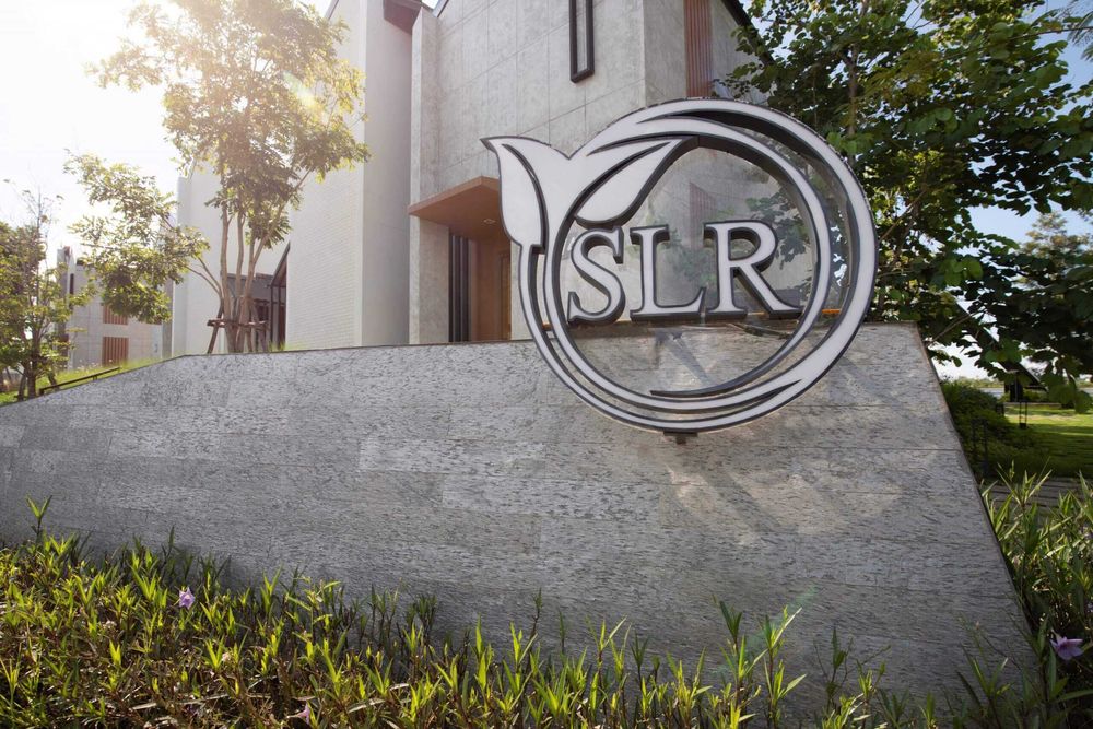 Каменный Шпон: Уникальный Рисунок Природы (Не Рисованная Текстура)