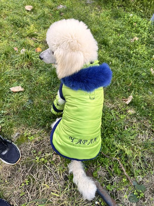 Топло яке за куче