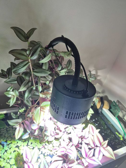 Lampa Lominie ASTA 120, 70 W, acvariu plantat apa dulce, telecomanda