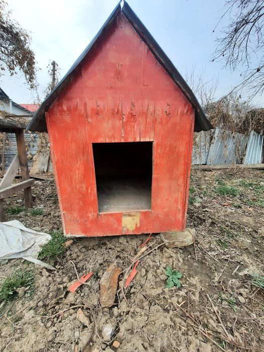 Продам бутку для собаки