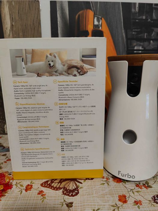 Camera video si alimentator animale domestice