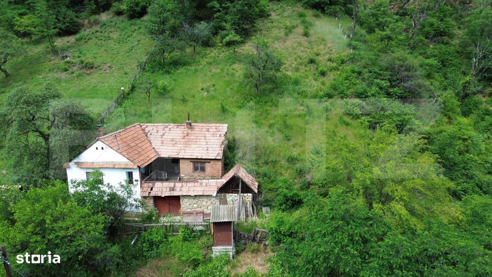 Casa traditionala - o investitie cu potential de dezvoltare, Capalna,