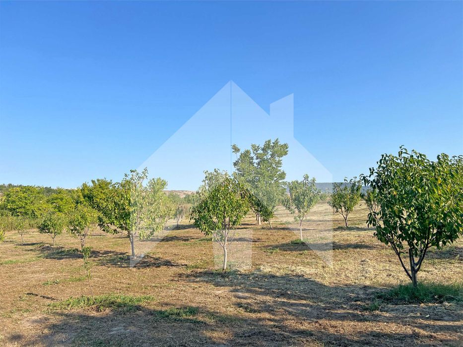 Продава се Земеделски имот в Нови пазар -  кв.м за 2210 €/дка - Снимка #4