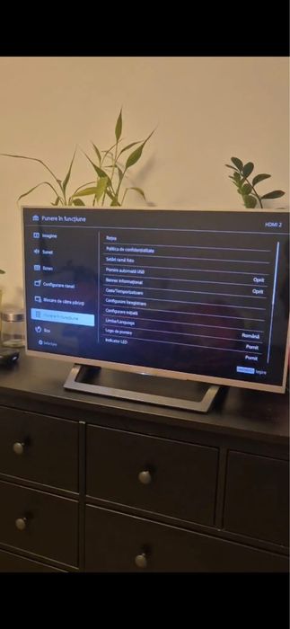 Televizor Sony Bravia
