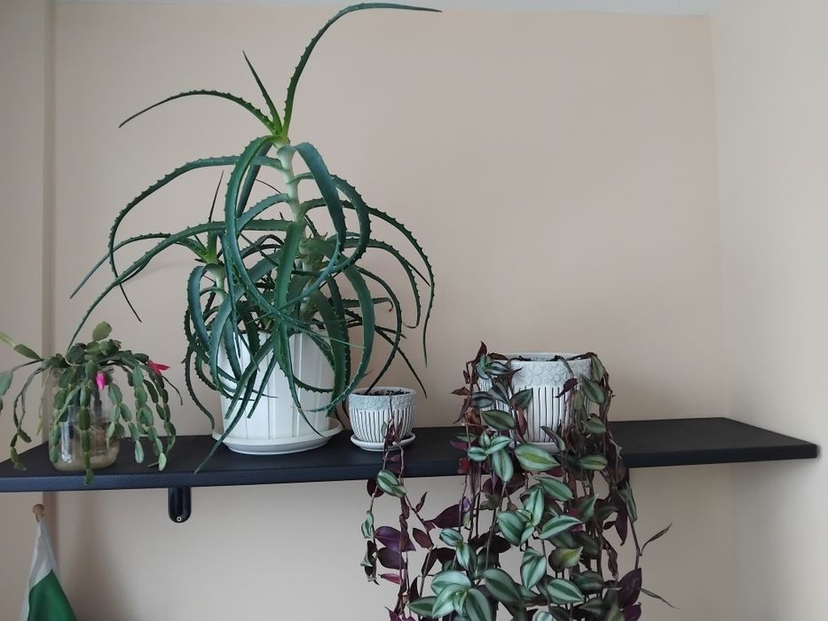 Кожена етажерка 140/25