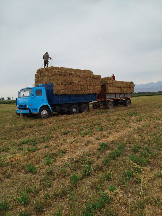 Камаз селхозник.