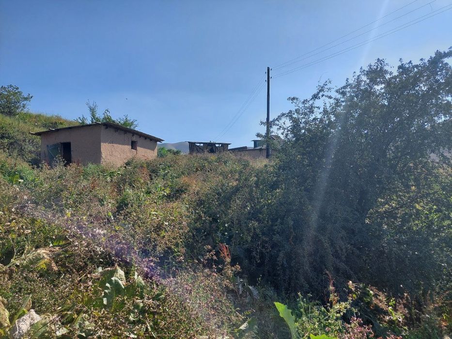 Uchastka yer maydoni dacha un ajoyib joy