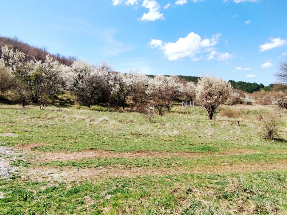 Продава се Парцел в с. Боснек, Област Перник - 458 кв.м за 41 €/кв.м - Снимка #3