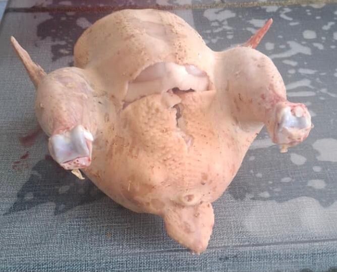 Комбикорм и мясо бройлера