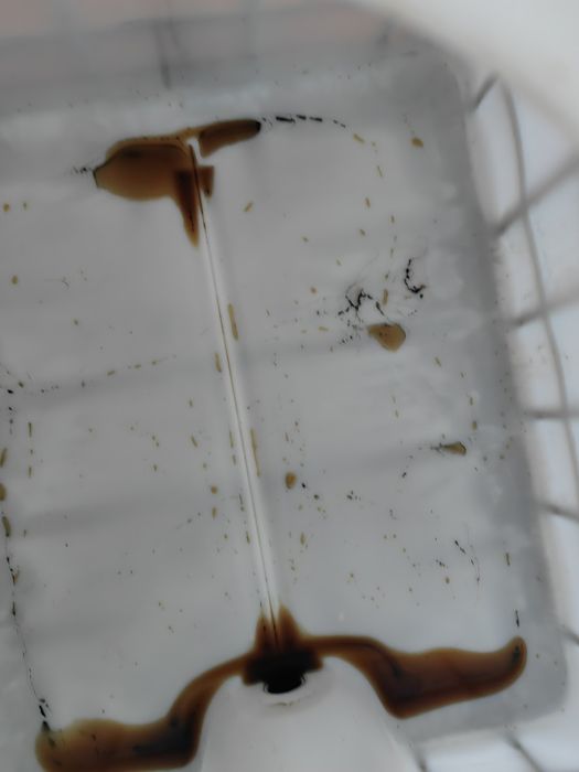 Пищевые Бочки Ёмкости Еврокубы