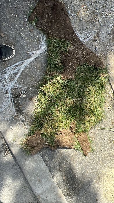 Debarasarii moluz / demolarii /detin masina 3,5 t