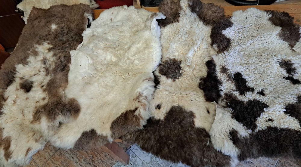 Обработени Агнешки Кожи