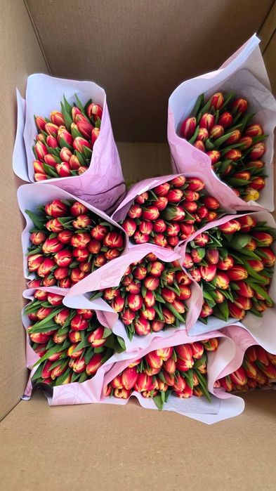 Тюльпаны (Голландская) на 8 марта оптом есть перечисленные