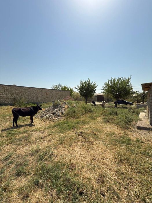 Mirzaobod arzon narxda yer