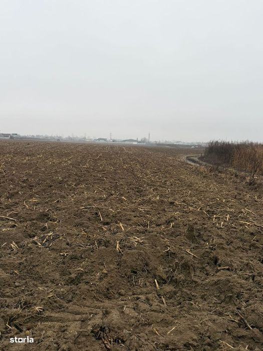 Vand Teren Hemeiusi sat Liliecipe strada prelungirea crinului