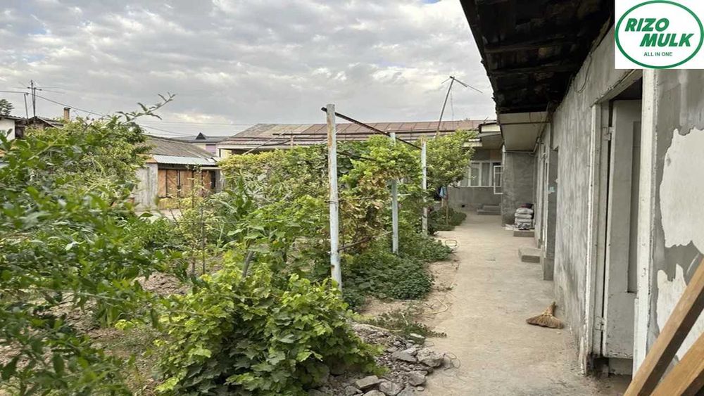 Олмазор туманида ховли сотилади. NR494/6