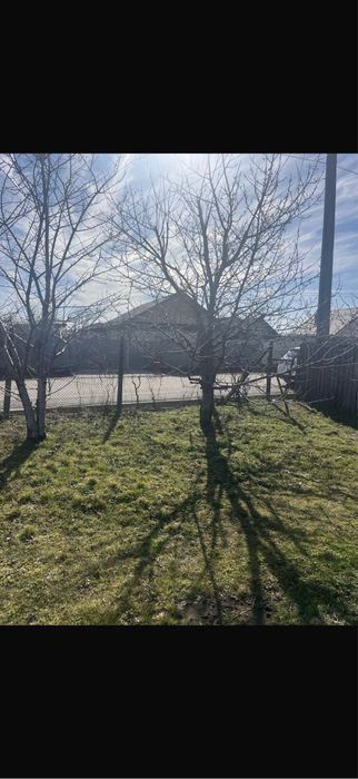 Vand teren intravilan 2630 mp Dumbraveni
