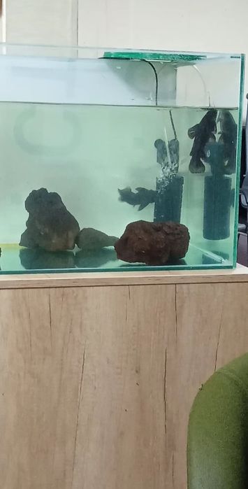 Продам аквариум комплекте с рыбом