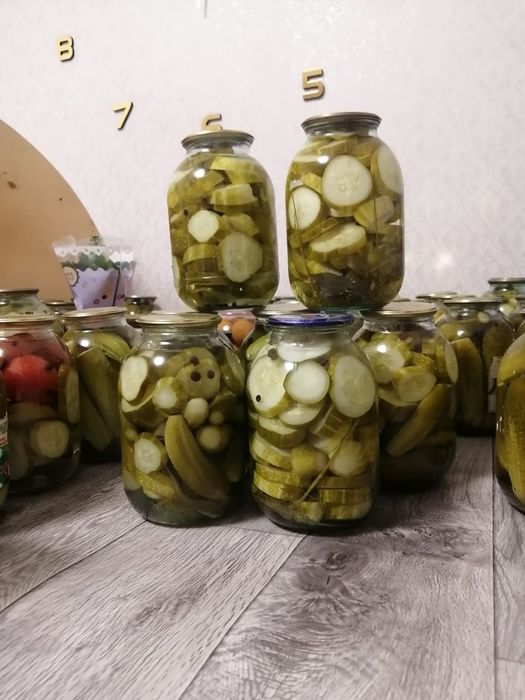 Огурцы солёные этого года
