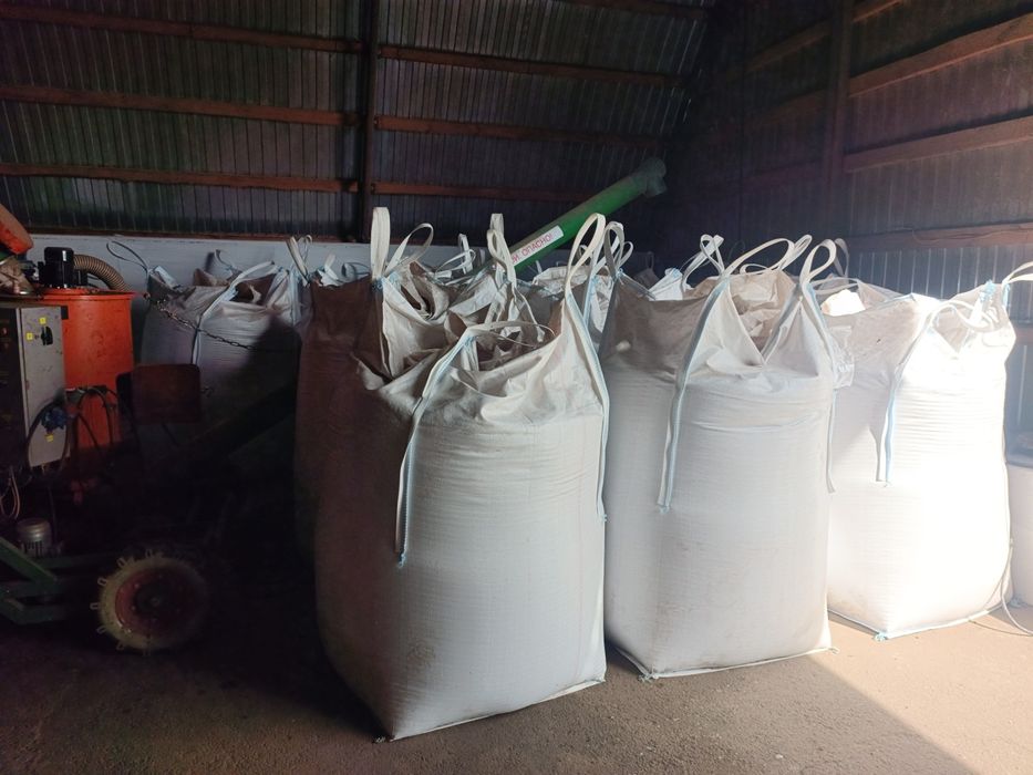 Суданка.        .