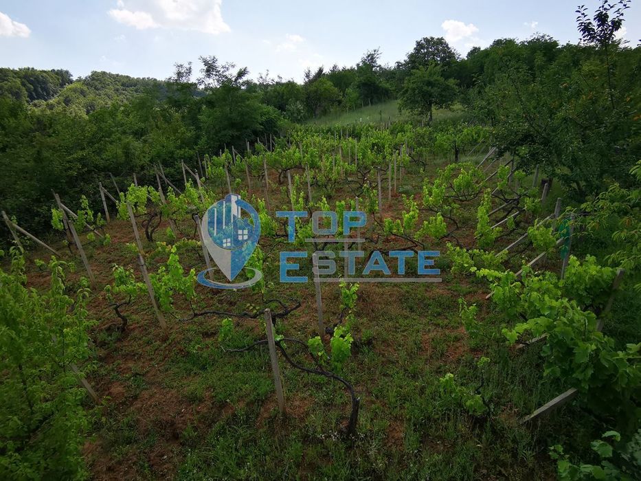 Продава се Къща в Дряново - 75 кв.м за 273 €/кв.м - Снимка #4