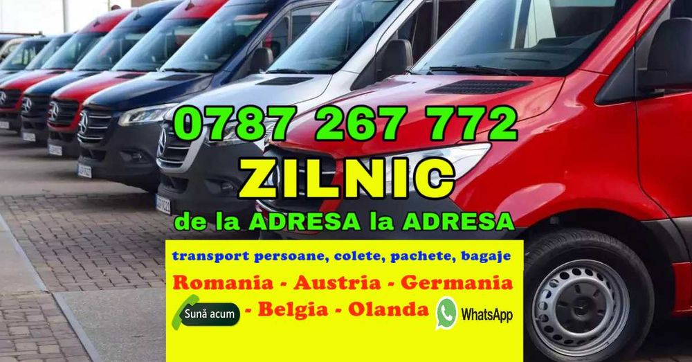 transport Romania Austria Germania curse ZILNIC persoane colete bagaje
