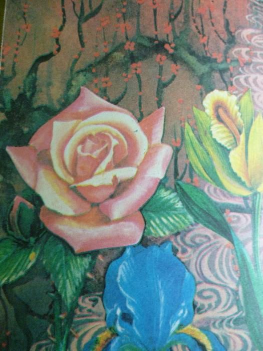 Дъга от цветя - Евгения Черней, Леонила Ширева