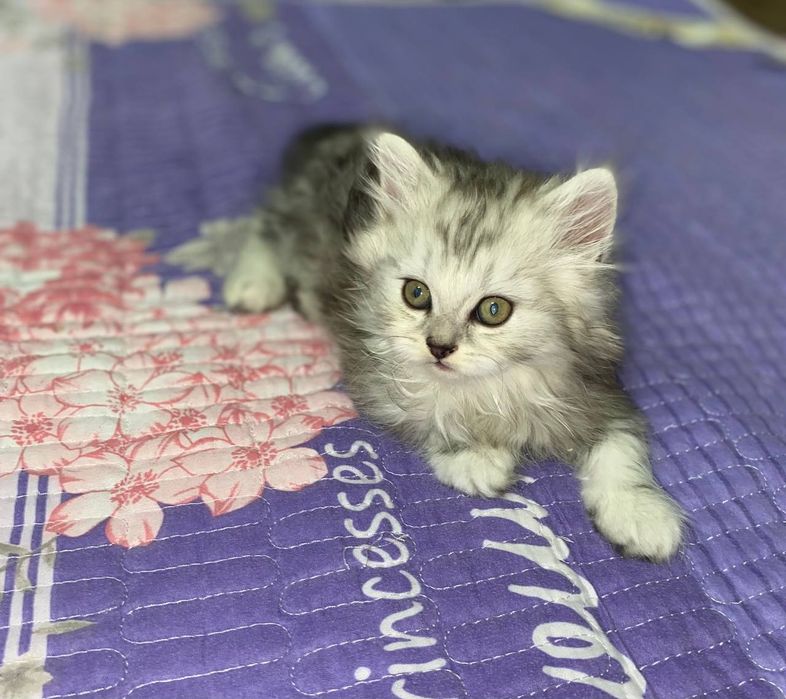 Йцукенгшщзхфывапролд