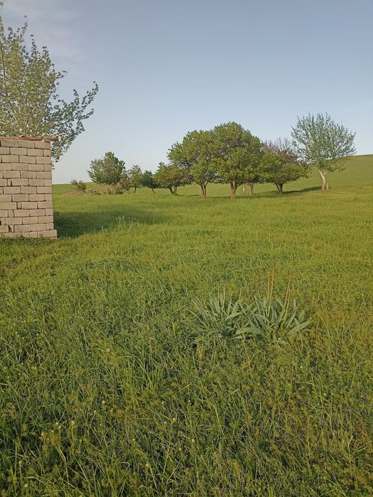 Земля 25 соток..