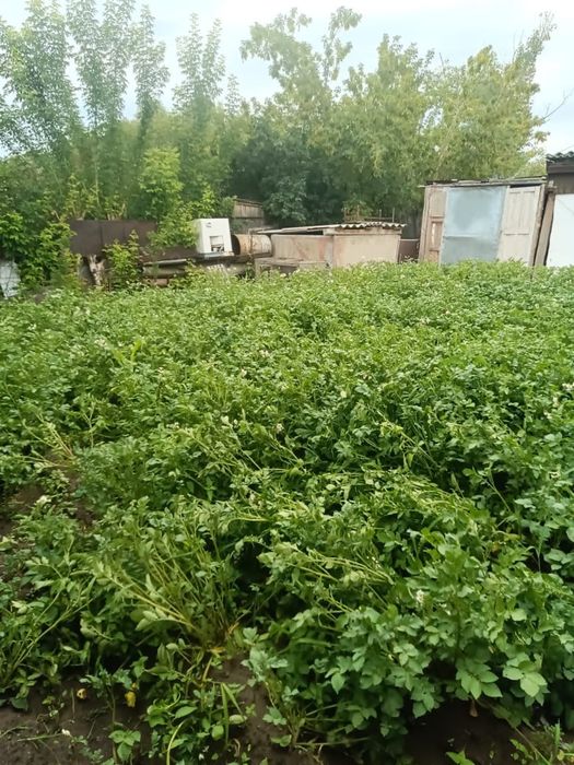 Продам дом с центральным отоплением
