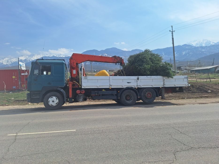 Услуги Манипулятора