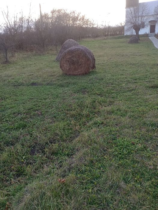 Vând un balot de lucernă și câteva căpițe de fân și otavă