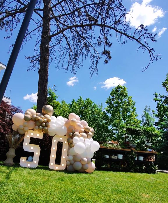 Arcada Baloane,Decor Nunta, Platforma Video 360