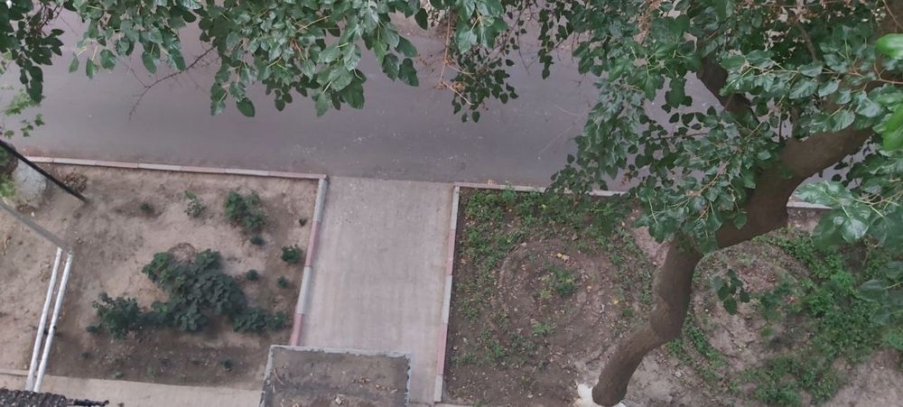 Какрасу 1          3/5/5