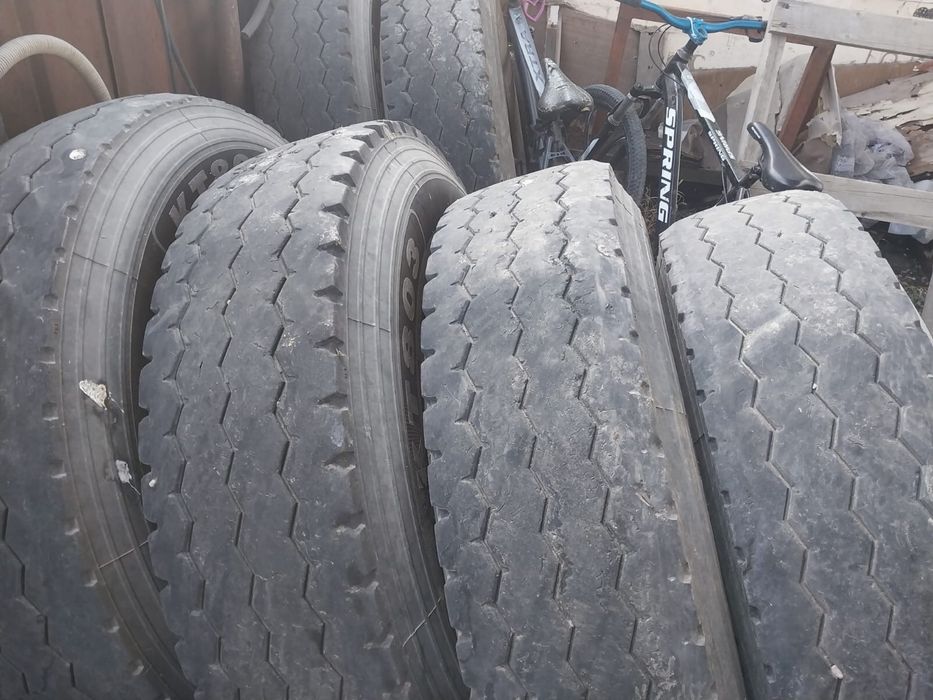 Резина шины шахман хова