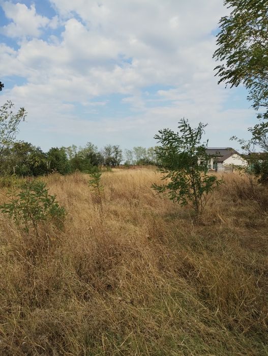 3300 mp intravilan, construibil, Tartasesti, utilitati