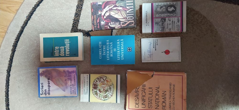 Carti despre Istorie