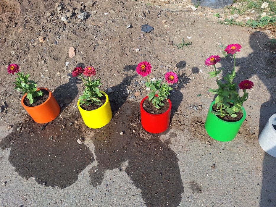 Кольца для клумб