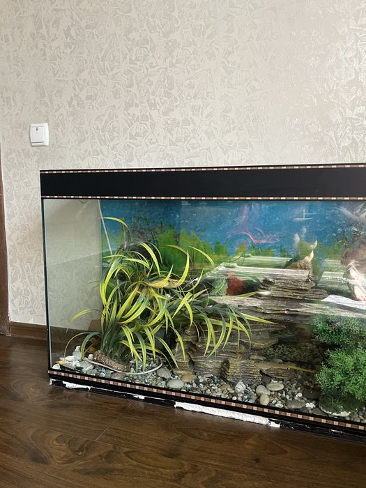 Аквариум 95x62x30