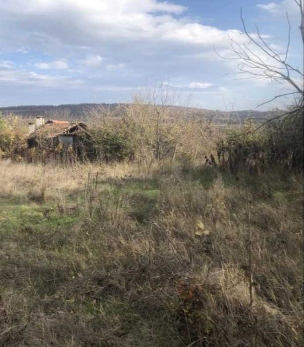 Продава се Парцел в с. Церова кория, Област Велико Търново - 1360 кв.м за 11 €/кв.м - Снимка #3