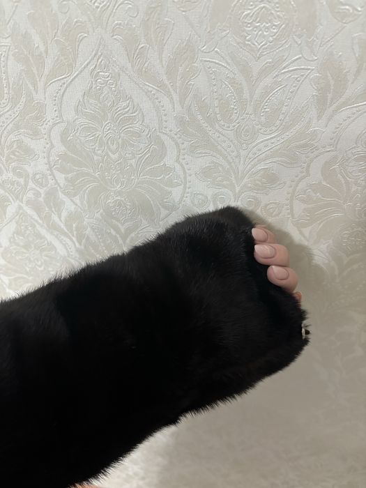 Продам шубу норка