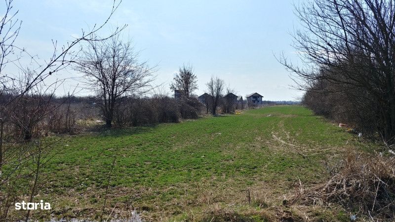 Teren intravilan Magurele langa padurea Cornetu si Arges