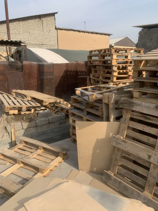 Paddon yevro rassiya