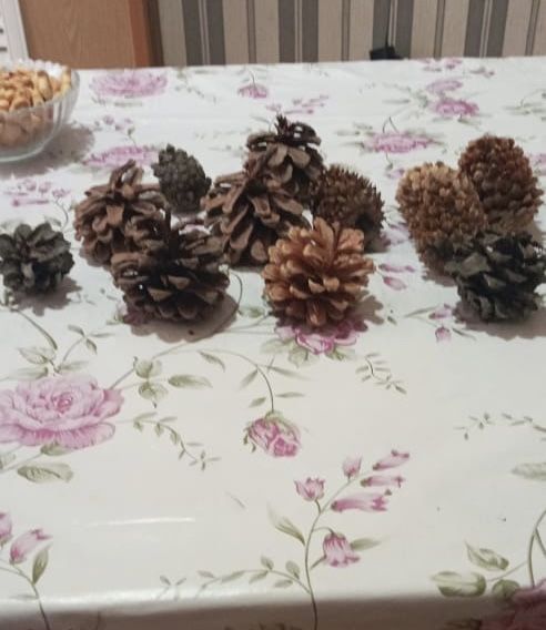 Шишки Алматинские