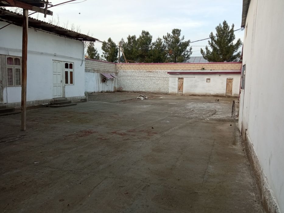 Baza sotiladi Karmana tumanida