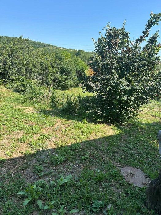 Casa batraneasca+ anexa+ beci+ 5700mp teren cu deschidere la drum principal si padure la numai 19 km de orasul Iasi