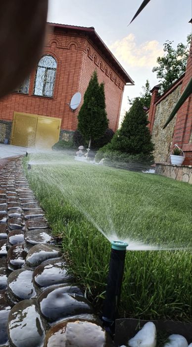 Газон вышено качества