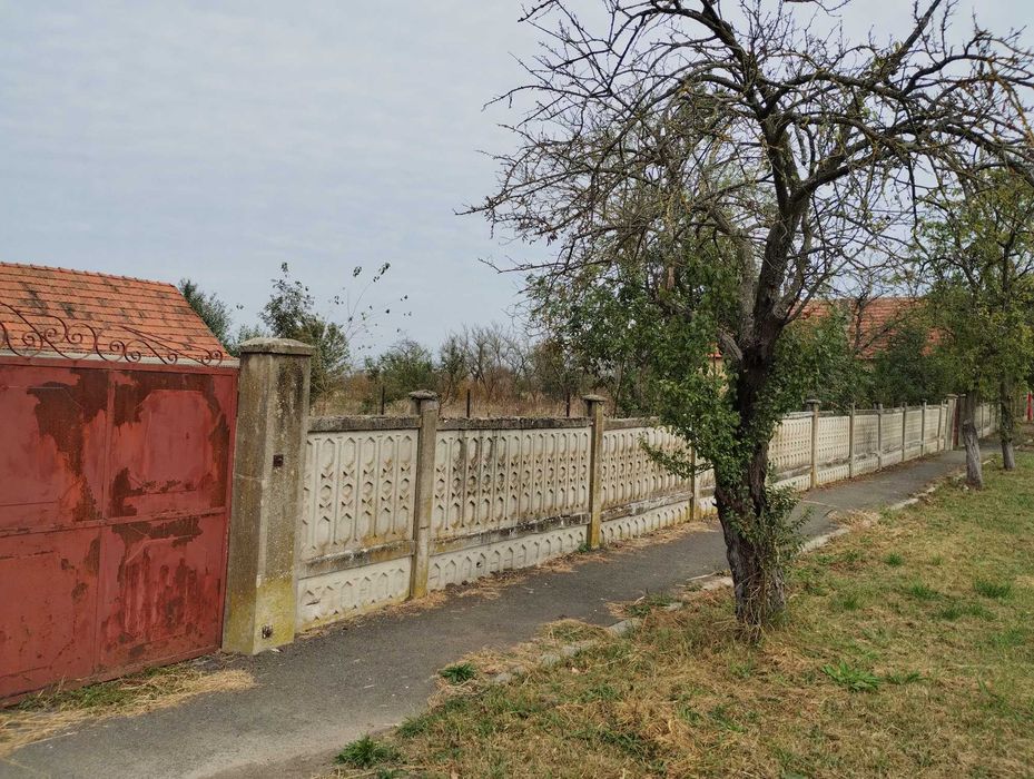 Casa veche din 1955 si teren intravilan 6153 mp,Localitate Sinersig,Jud Timis